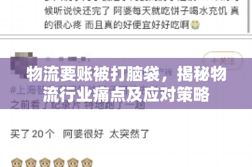 物流要账被打脑袋，揭秘物流行业痛点及应对策略