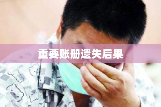 重要账册遗失后果