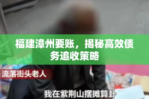 福建漳州要账，揭秘高效债务追收策略