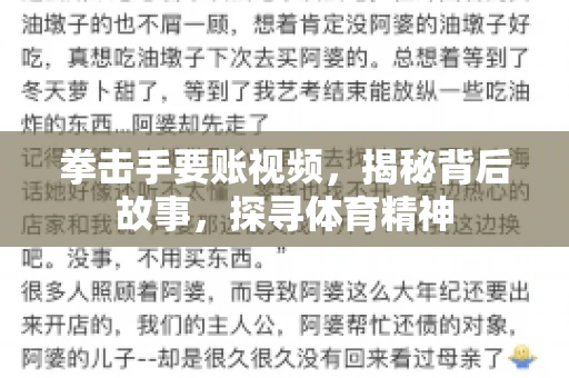 拳击手要账视频，揭秘背后故事，探寻体育精神