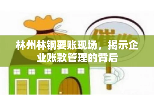 林州林钢要账现场，揭示企业账款管理的背后