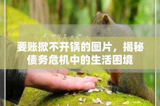 要账掀不开锅的图片，揭秘债务危机中的生活困境