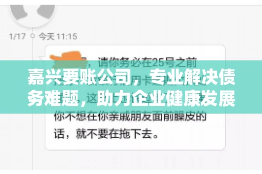 嘉兴要账公司，专业解决债务难题，助力企业健康发展