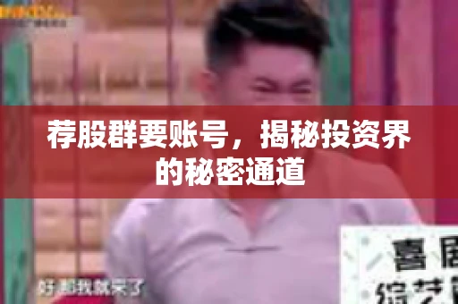 荐股群要账号，揭秘投资界的秘密通道