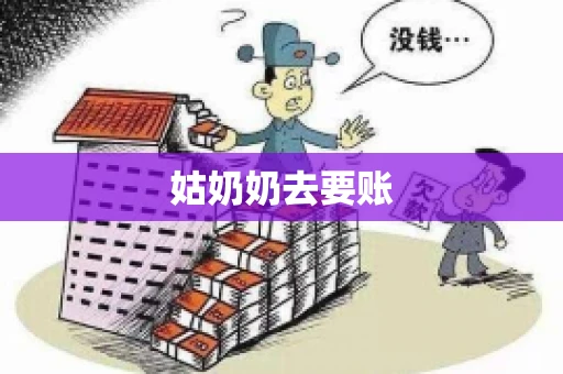 姑奶奶去要账