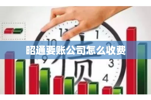 昭通要账公司怎么收费