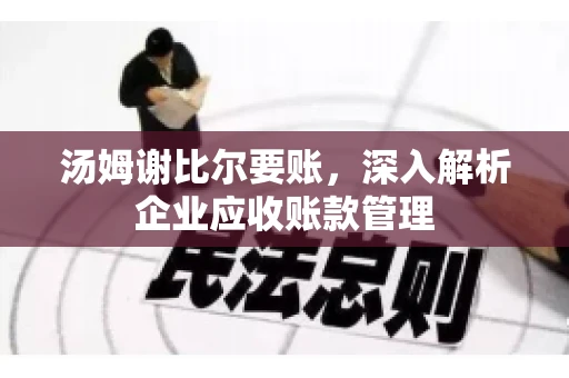 汤姆谢比尔要账，深入解析企业应收账款管理