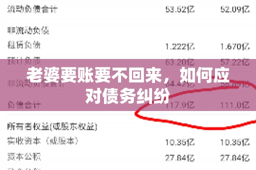 老婆要账要不回来，如何应对债务纠纷