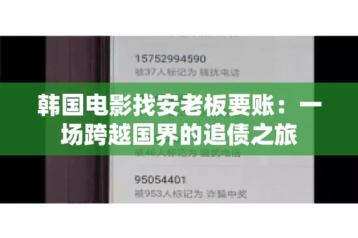 韩国电影找安老板要账：一场跨越国界的追债之旅