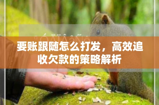 要账跟随怎么打发，高效追收欠款的策略解析
