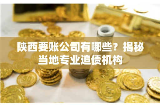 陕西要账公司有哪些？揭秘当地专业追债机构