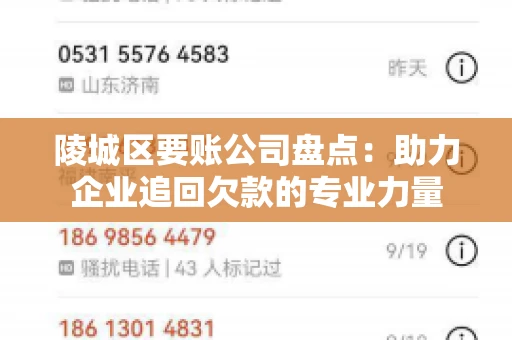 陵城区要账公司盘点：助力企业追回欠款的专业力量
