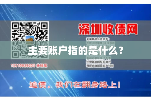 主要账户指的是什么？