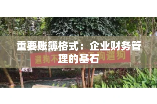 重要账簿格式：企业财务管理的基石