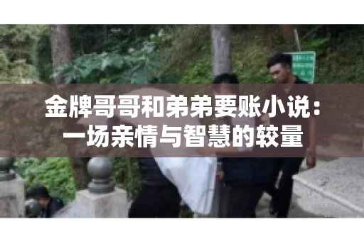 金牌哥哥和弟弟要账小说：一场亲情与智慧的较量