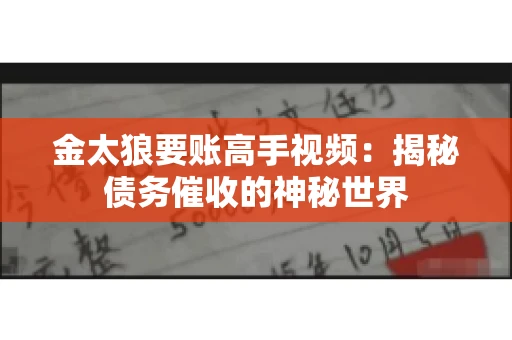 金太狼要账高手视频：揭秘债务催收的神秘世界
