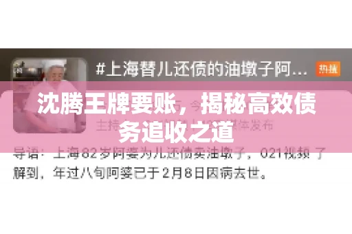 沈腾王牌要账，揭秘高效债务追收之道