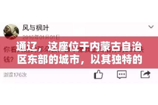 通辽，这座位于内蒙古自治区东部的城市，以其独特的地理位置和丰富的自然资源而闻名。然而，对于许多企业来说，通辽的另一个重要角色可能是其作为要账公司的聚集地。那么，通辽究竟有几家要账公司呢？今天，我们就来聊聊这个话题。