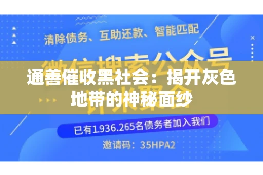 通善催收黑社会：揭开灰色地带的神秘面纱
