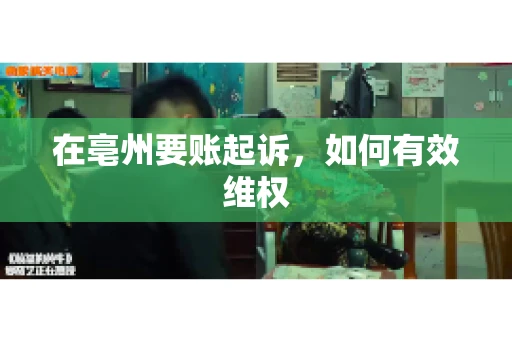 在亳州要账起诉，如何有效维权