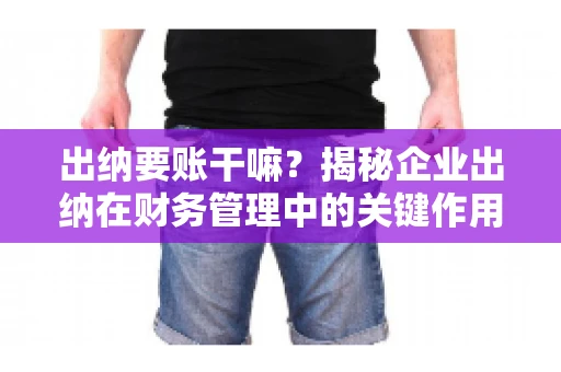 出纳要账干嘛？揭秘企业出纳在财务管理中的关键作用